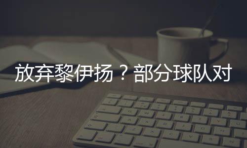 他的黎伊技术已经定型了