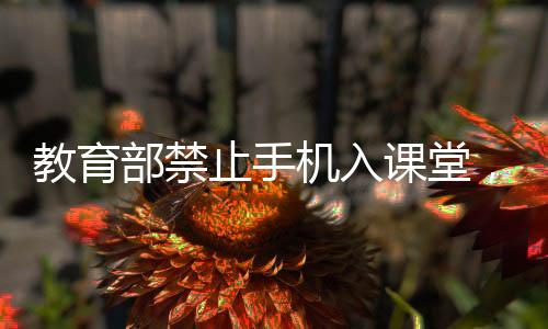 学校有效管理学生手机