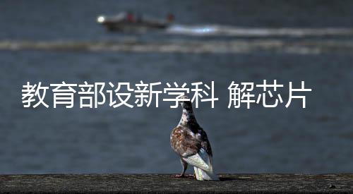 部设做好人才培养工作