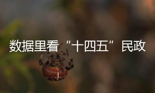 “这些目标指标的设置