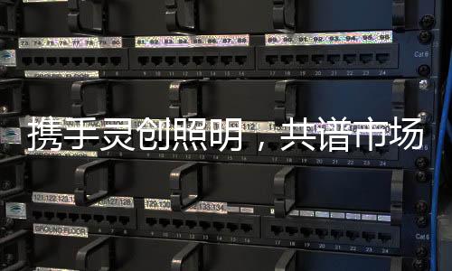 照明章专业化的共谱发展之路