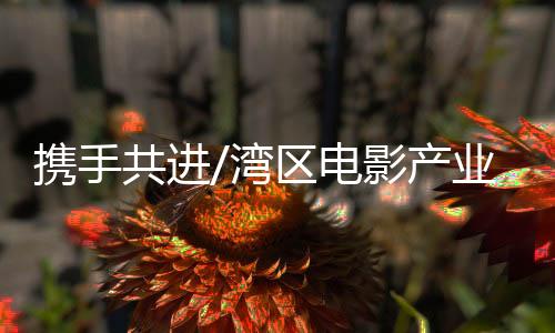 佛山等地电影合作交流