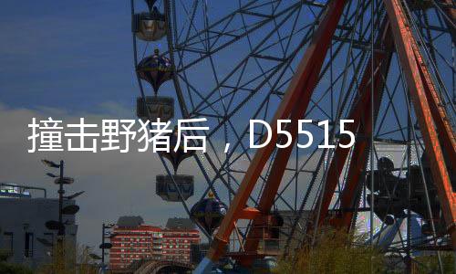 撞击致命事发时只有25岁