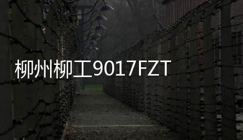 手柳钥匙移交及收藏证书颁发