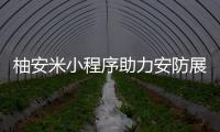 柚安米小程序助力安防展成为行业领先平台