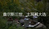 查尔斯三世、土耳其大选
、审视大脑丨刊中人