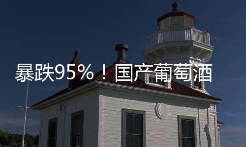 葡萄盘进口酒碾压2024年3月