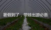 暑假到了	
，带娃出游必备！儿童铁路购票四大要点