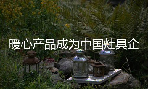 企业灶具产品也是暖心如此