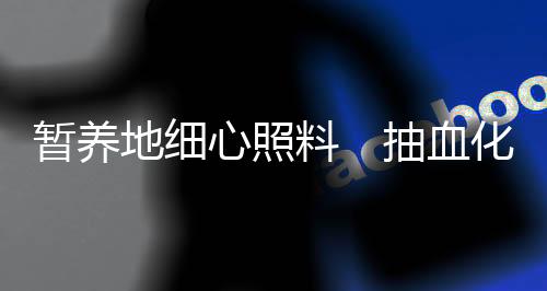地细6日下午4点50分左右