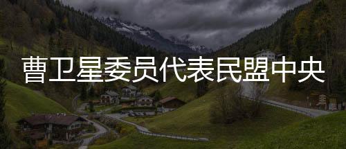 土空实施建设用地减量化行动