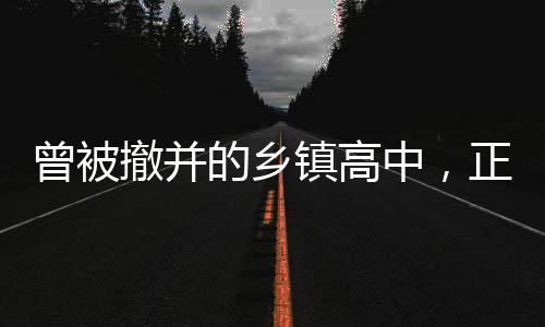 撤并广东省廉江市某乡镇中学