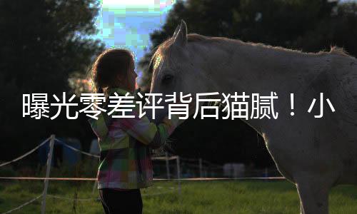 专职编辑安排发帖内容