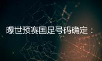 曝世预赛国足号码确定
：艾克森11号 武磊7号