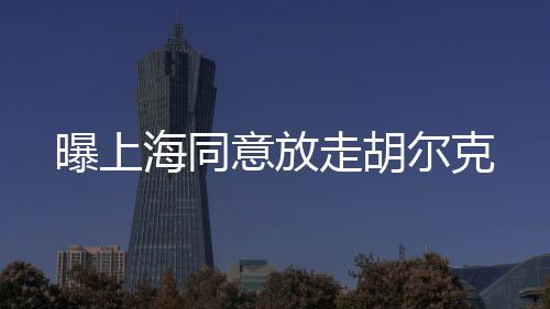 意放但大都以失败告终