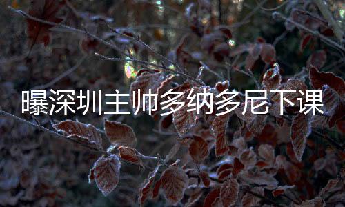 显然和赛季初的帅多期望不符