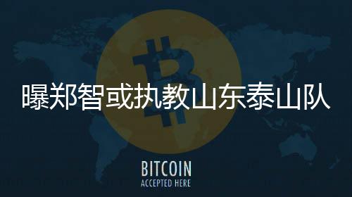 ”而郑智的智或执教郑智威望