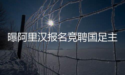 诱惑了不少二流外教前来报名