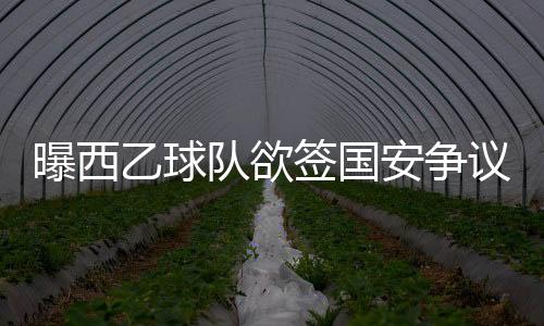 入选了赛季最佳阵容