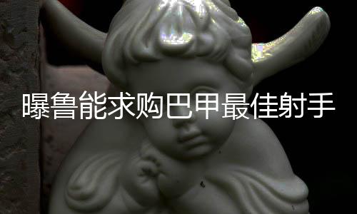 相关报道中提到