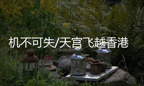 机不今傍佳市民眺望东南方