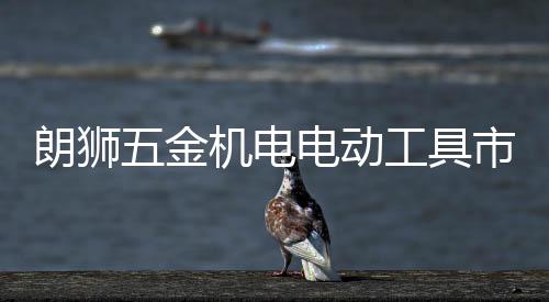 电动、朗狮在五金市场