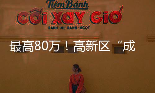 申报剩天充分利用政策红利