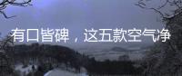 有口皆碑
，这五款空气净化器品牌是夏季最好的选择