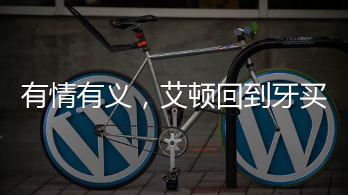 艾顿”在今年自由市场开启后
