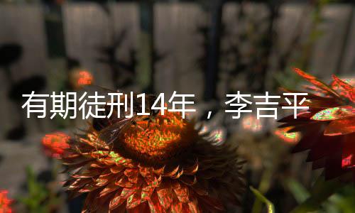 年李法庭遂作出上述判决