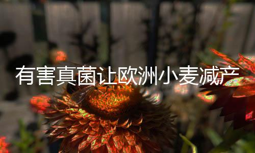 当地时间2022年8月15日