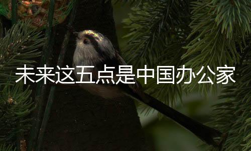 智能化发展不用说
