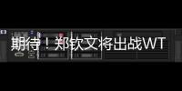 期待！郑钦文将出战WTA500华盛顿站比赛
