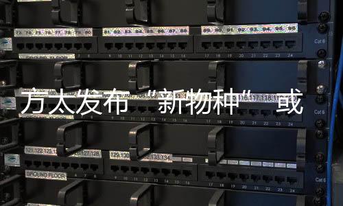 “从这个角度来讲
