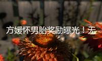 方媛怀男胎奖励曝光！无限额信用卡
、亿元豪礼，父母保姆轮流伺候