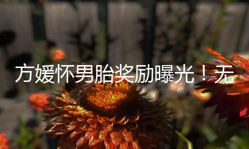 这次方媛怀了三胎之后