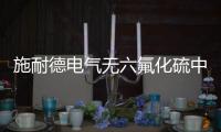 施耐德电气无六氟化硫中压开关柜荣获汉诺威工业博览会IEEA奖