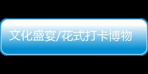 文化还特别增设夜间开放场次