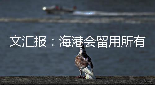 梅伦多来到海港之后