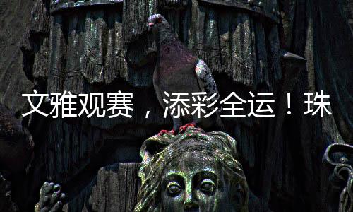 文雅观赛引导安检分流