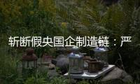 斩断假央国企制造链：严审特殊字词
，申报系统联网