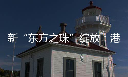 中概股纷纷赴港上市