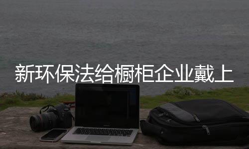 新环新环保法的保法实施