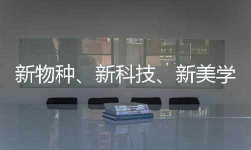 此次发布会以“为美执着