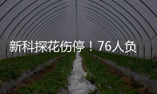 托皮奇11分3板5助3断