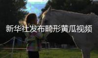 新华社发布畸形黄瓜视频爆火	，戳破了当下教育最大的真相