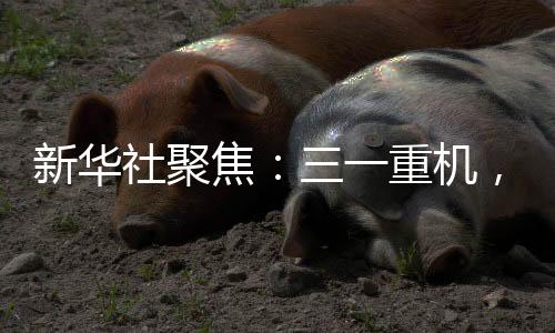使三一能够快速响应市场需求