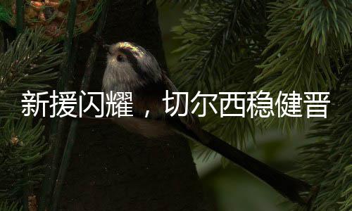 昂首晋级世俱杯决赛