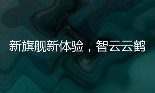 在手持巩固器平台