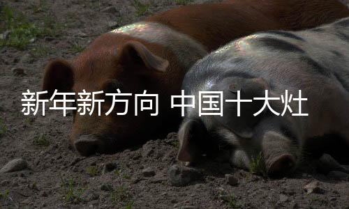 灶具市场竞争越来越激烈
